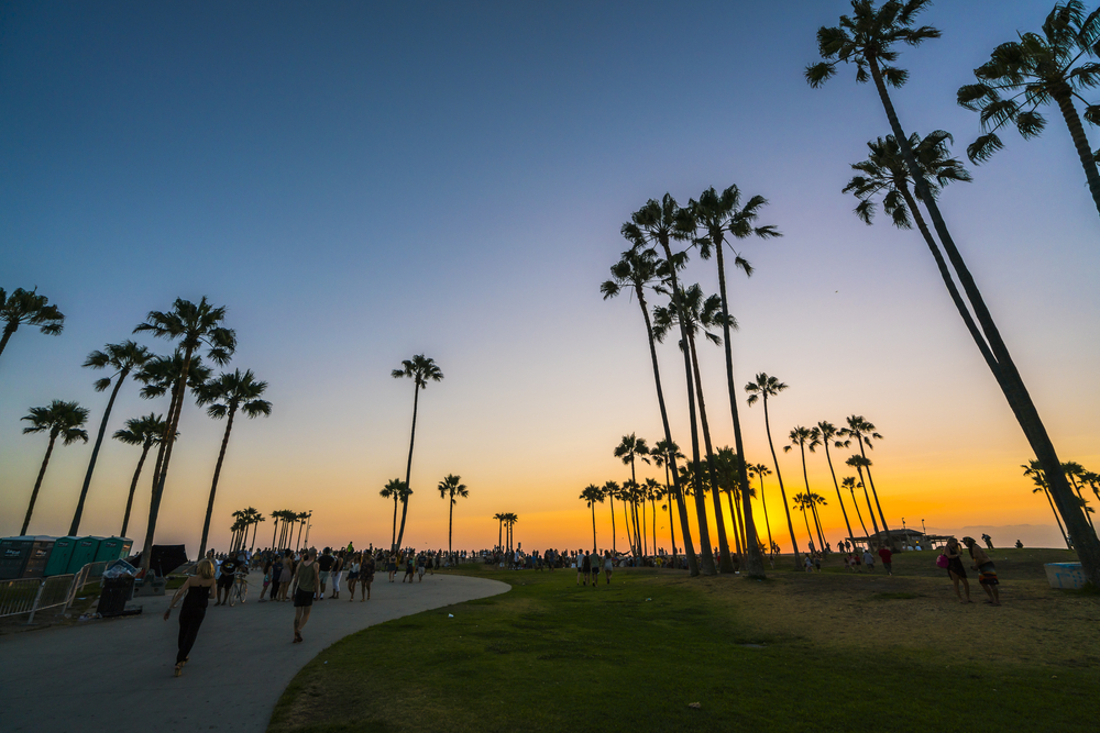 Venice,Beach,,shilouette,In,The,Sunset,california,usa.