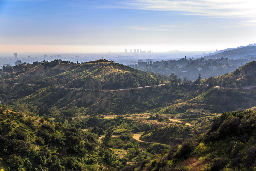 View,Of,Los,Angeles,From,Griffith,Park