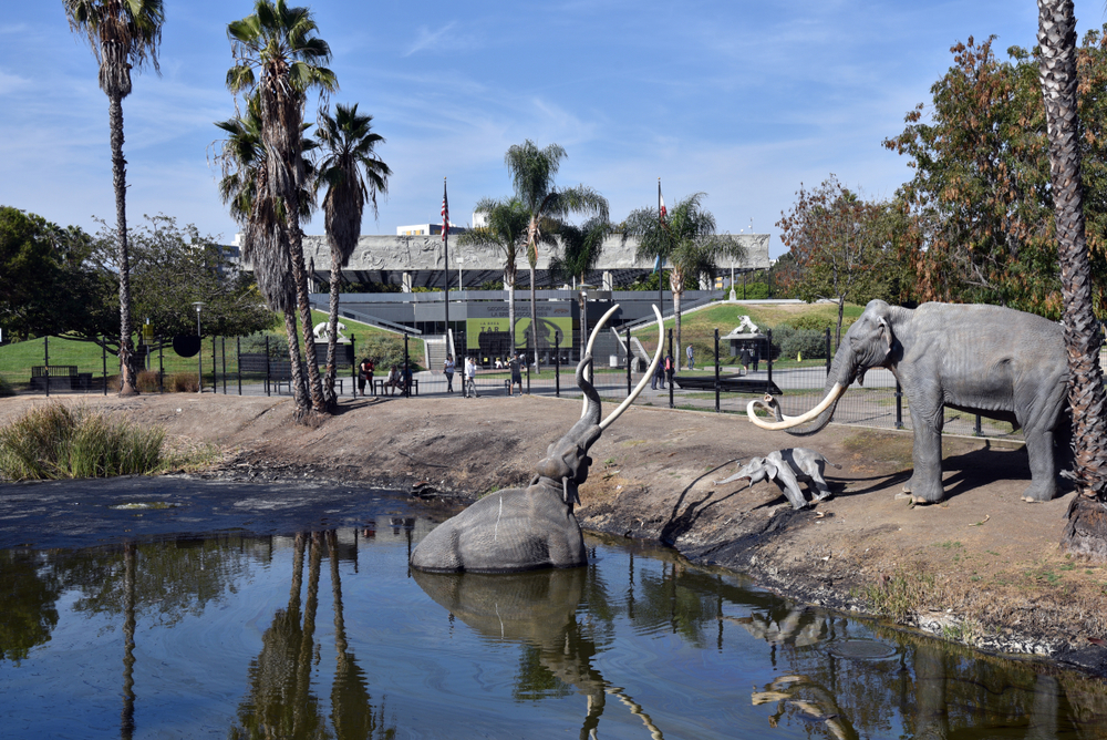 Los,Angeles,,Ca/usa,-,September,20,,2018:,Sculpture,Of,Mammoth